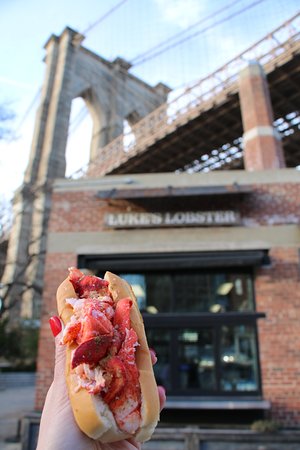 Luke's Lobster Brooklyn Bridge Park 